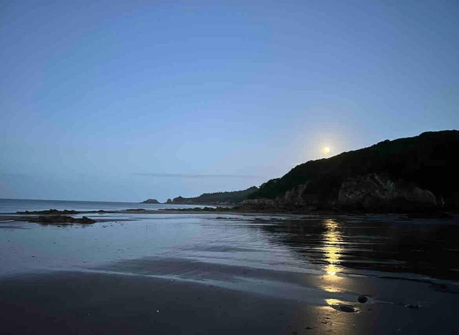 Rhodewood House Saundersfoot Apartman Kültér fotó